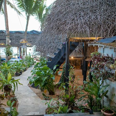 Oynise Beach Cabin Galle Ngoại thất bức ảnh