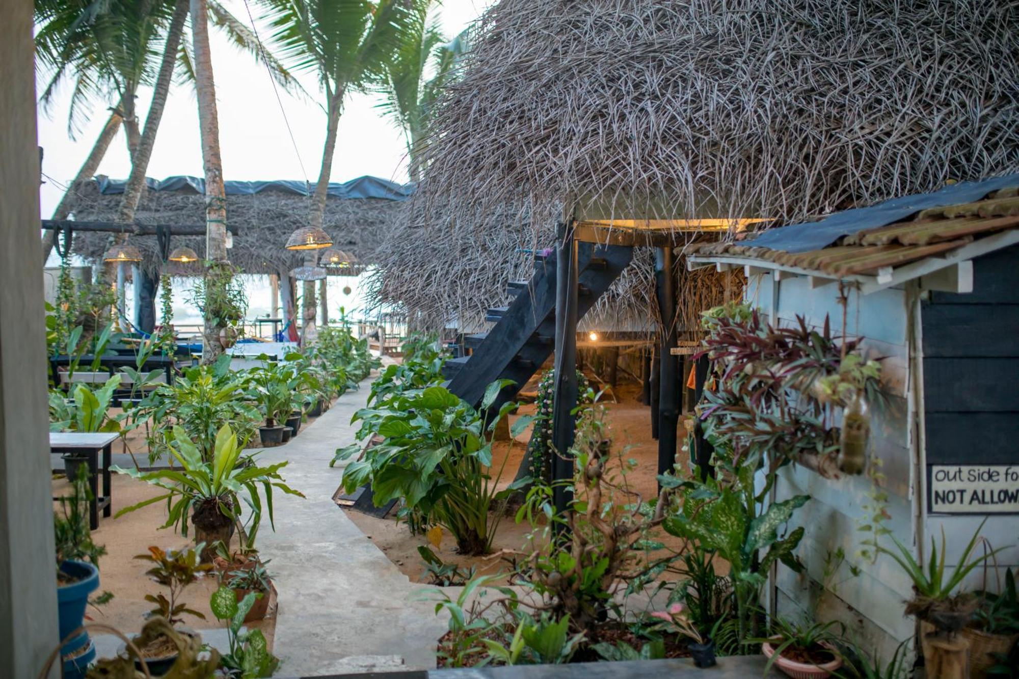 Oynise Beach Cabin Galle Ngoại thất bức ảnh
