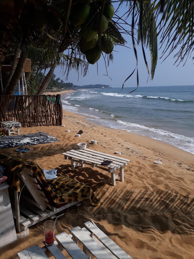 Oynise Beach Cabin Galle Ngoại thất bức ảnh